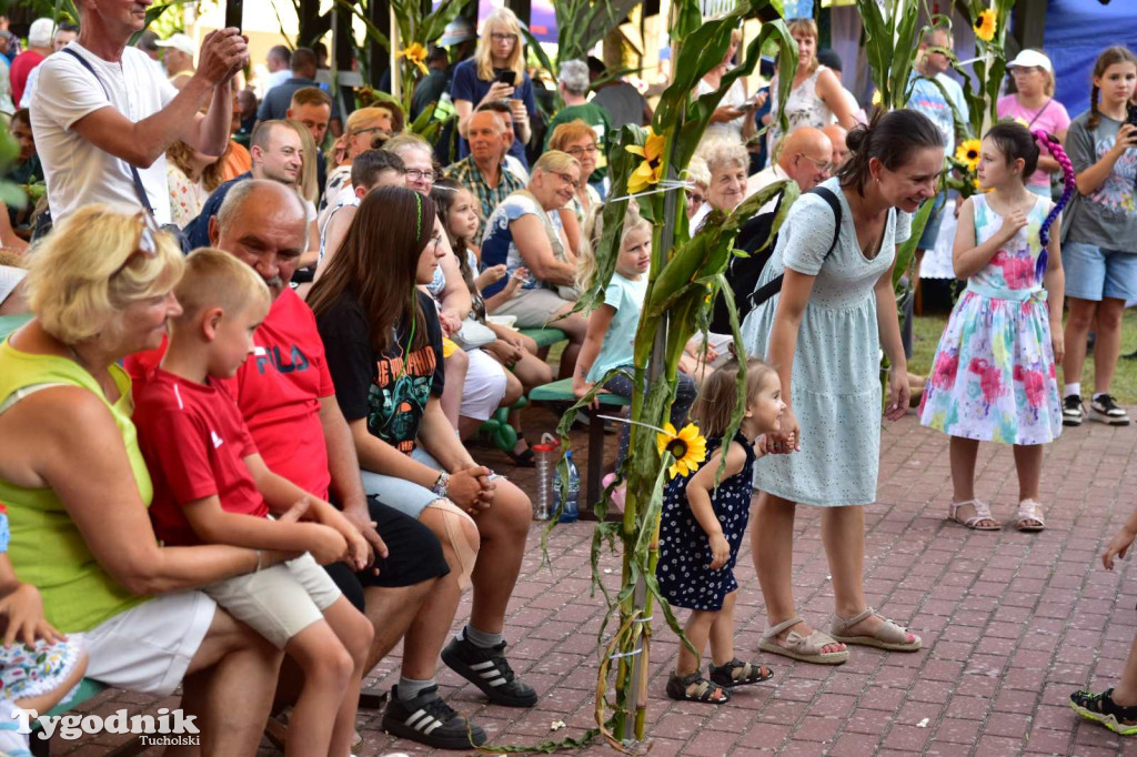 Dożynki w Kręgu. Święto plonów w Gminie Śliwice