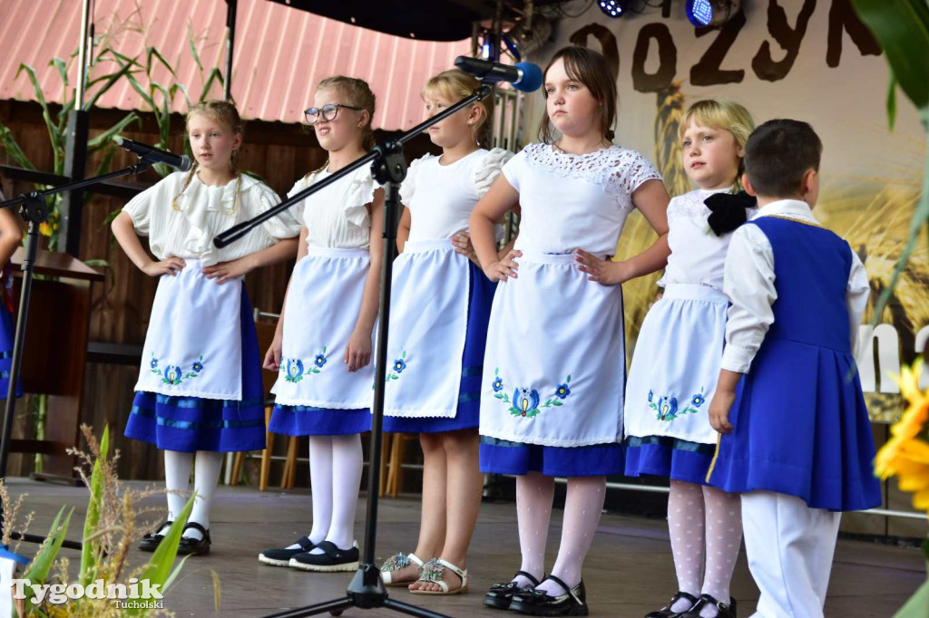 Dożynki w Kręgu. Święto plonów w Gminie Śliwice