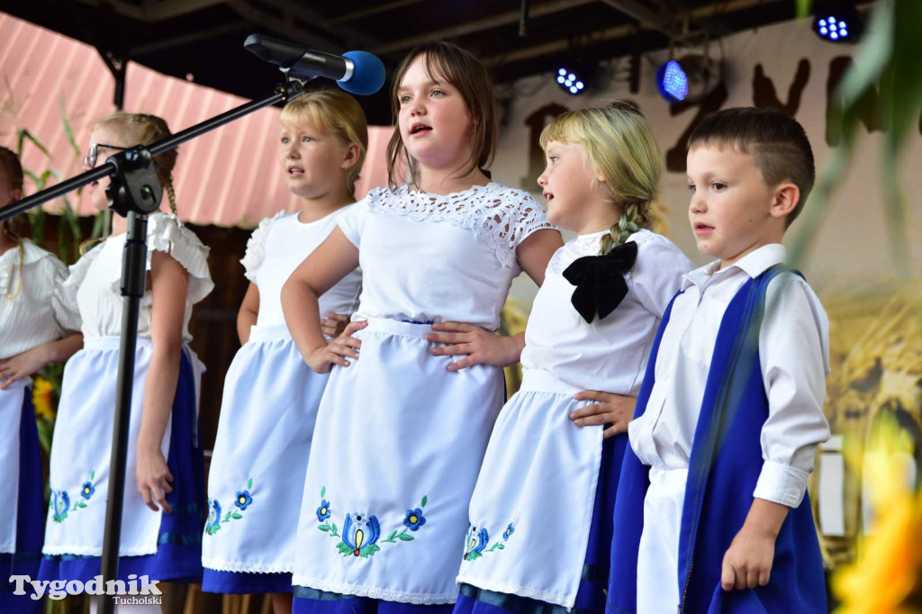 Dożynki w Kręgu. Święto plonów w Gminie Śliwice