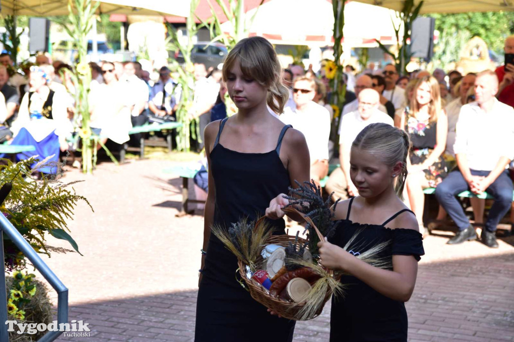 Dożynki w Kręgu. Święto plonów w Gminie Śliwice