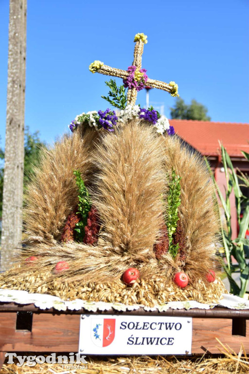 Dożynki w Kręgu. Święto plonów w Gminie Śliwice