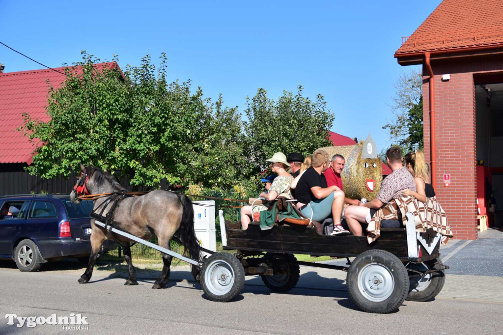 Dożynki w Kręgu. Święto plonów w Gminie Śliwice