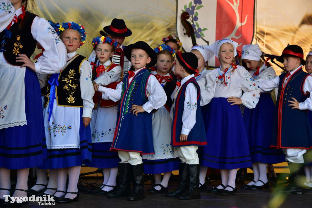 Dożynki w Kręgu. Święto plonów w Gminie Śliwice