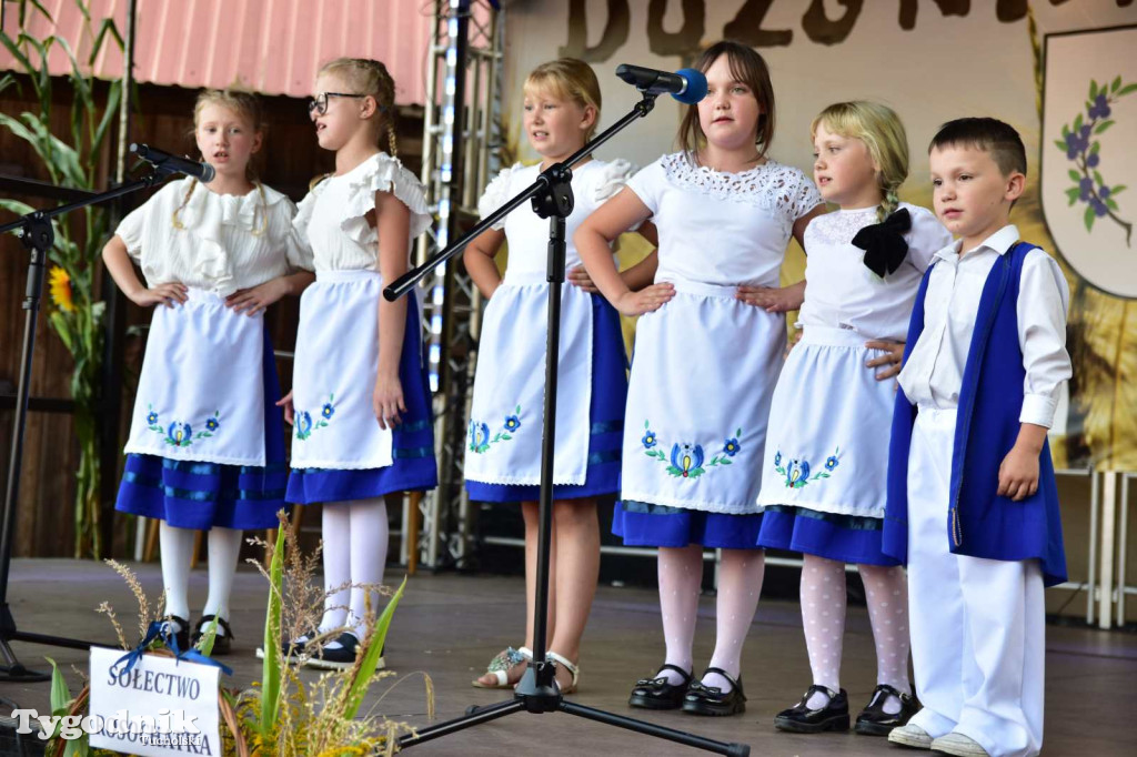 Dożynki w Kręgu. Święto plonów w Gminie Śliwice