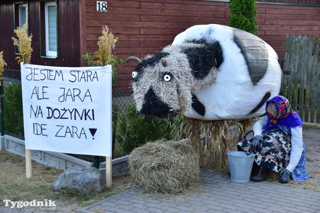 Dożynki w Kręgu. Święto plonów w Gminie Śliwice