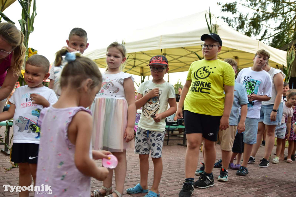 Dożynki w Kręgu. Święto plonów w Gminie Śliwice