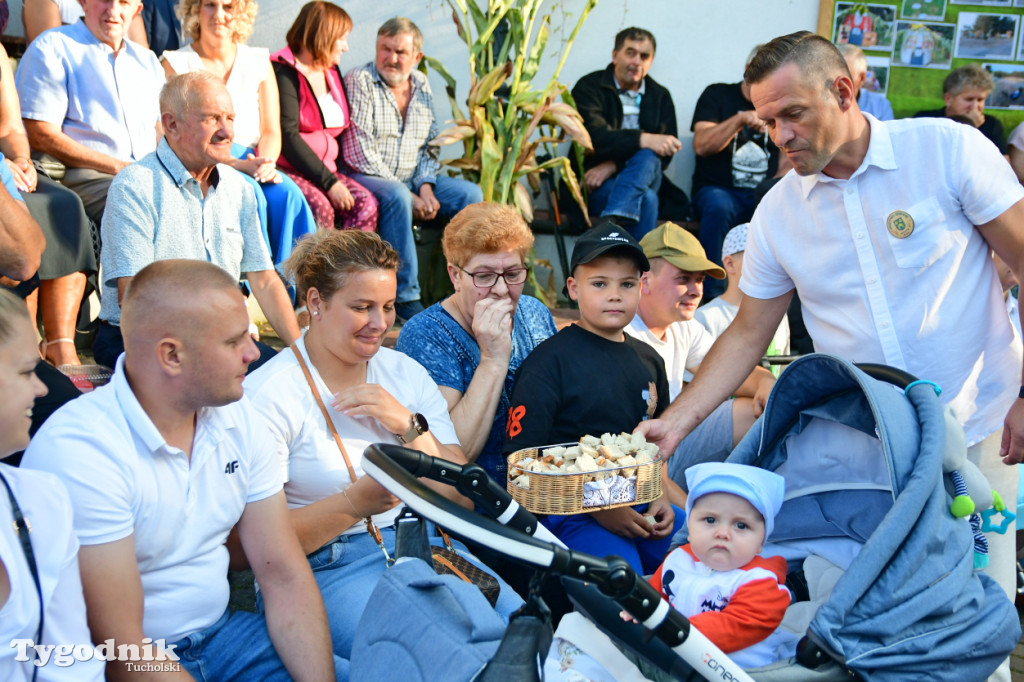 Cekcyn i dożynki gminne (31 sierpnia)