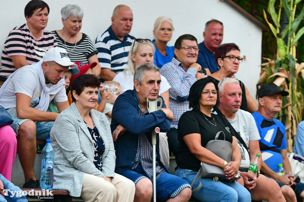 Dożynki gminne w Cekcynie - występ Świetlicowych Babeczek