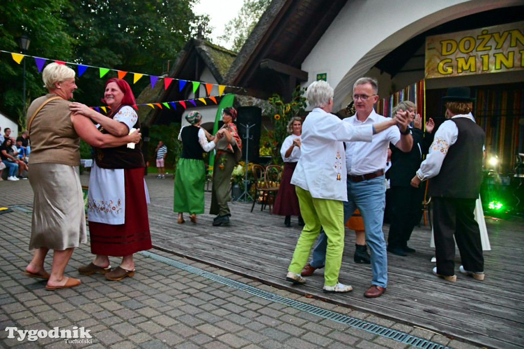 Dożynki gminne w Cekcynie - występ Świetlicowych Babeczek