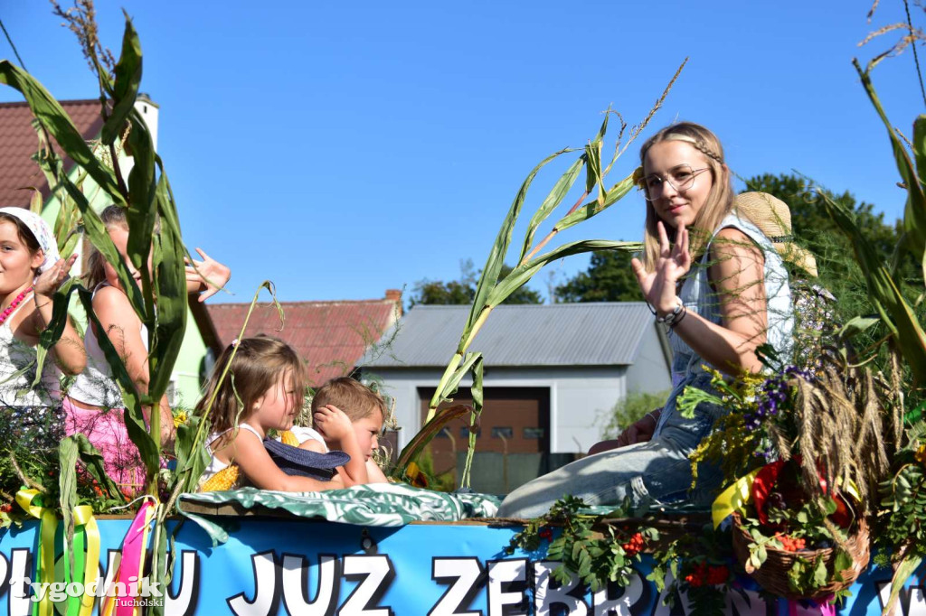 Dożynki gminne w Kęsowie - 31.08.24