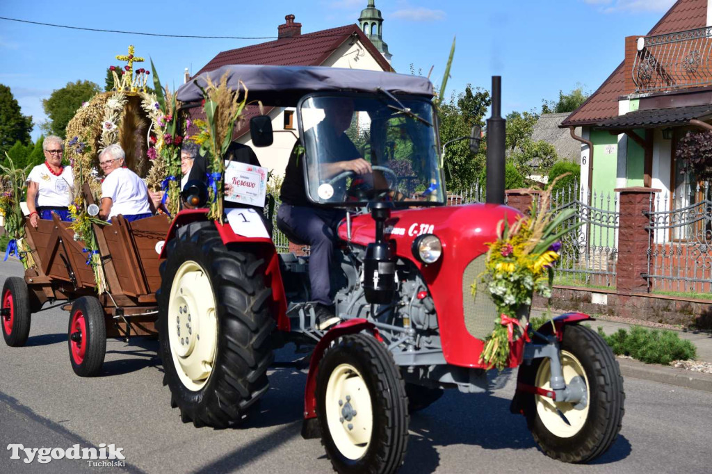 Dożynki gminne w Kęsowie - 31.08.24