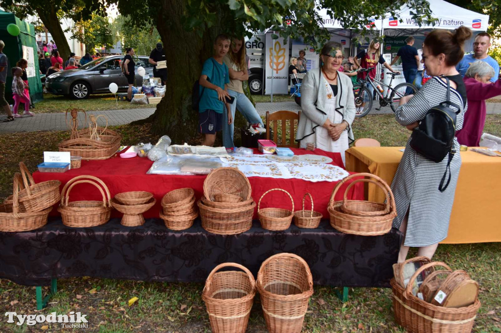 Dożynki gminne w Kęsowie - 31.08.24