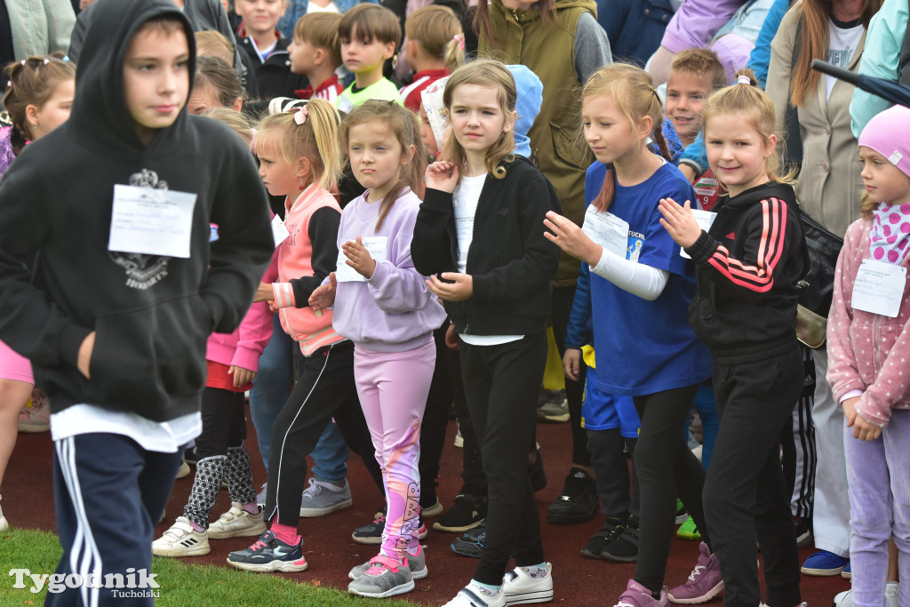 Tuchola: Jubileuszowa edycja Biegu Borowiaka / FOTORELACJA