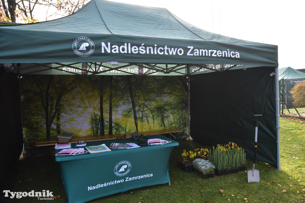 W Nadleśnictwie Zamrzenica sadzono las z okazji jubileuszu 100 - lecia Lasów Państwowych