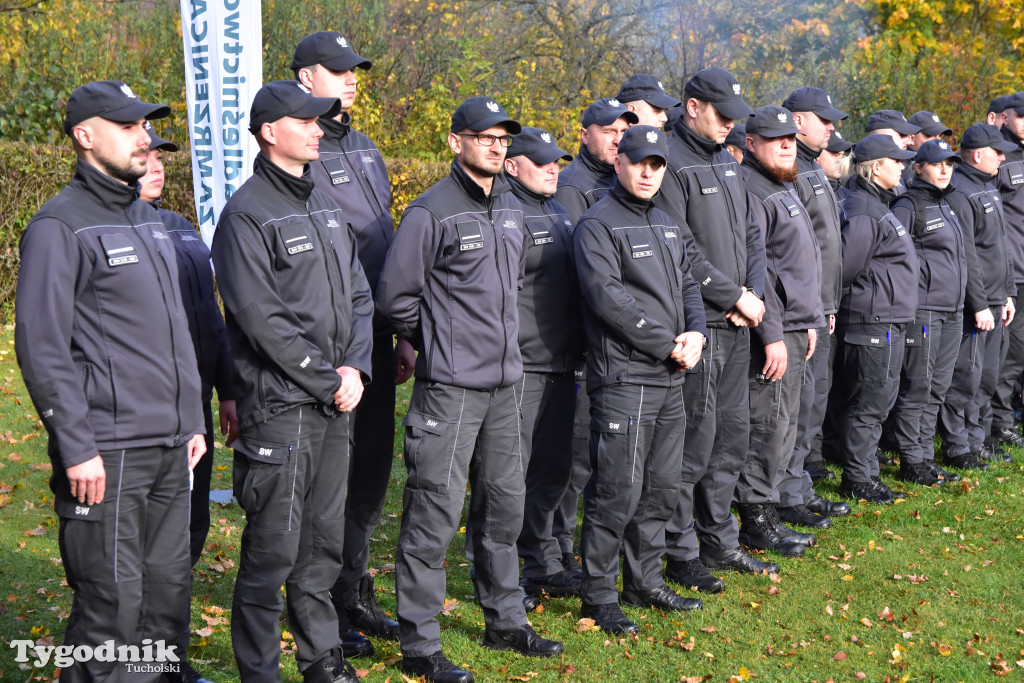 W Nadleśnictwie Zamrzenica sadzono las z okazji jubileuszu 100 - lecia Lasów Państwowych