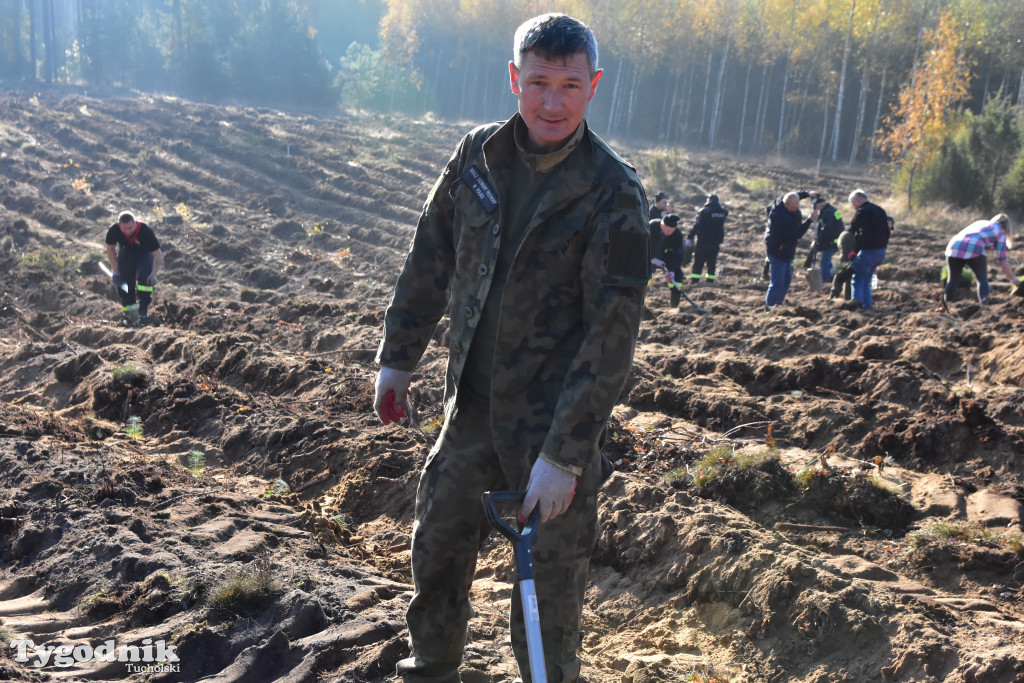 W Nadleśnictwie Zamrzenica sadzono las z okazji jubileuszu 100 - lecia Lasów Państwowych