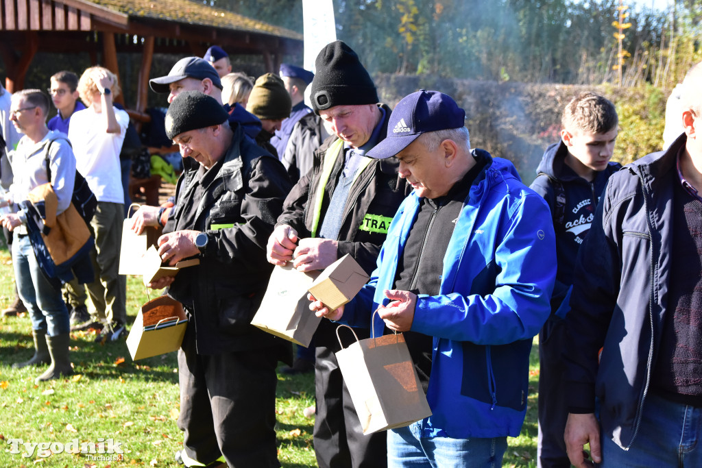 W Nadleśnictwie Zamrzenica sadzono las z okazji jubileuszu 100 - lecia Lasów Państwowych