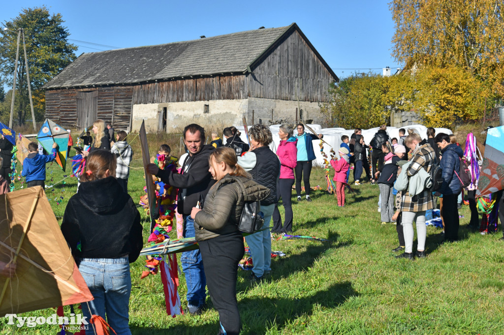 Dzień Latawca w Legbądzie