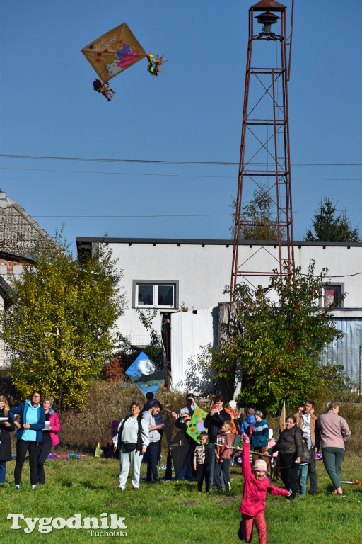 Dzień Latawca w Legbądzie