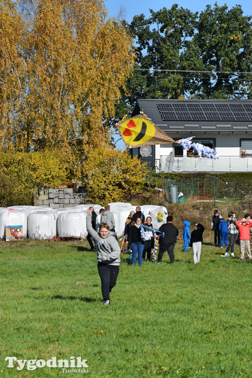 Dzień Latawca w Legbądzie