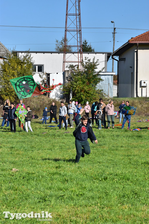 Dzień Latawca w Legbądzie