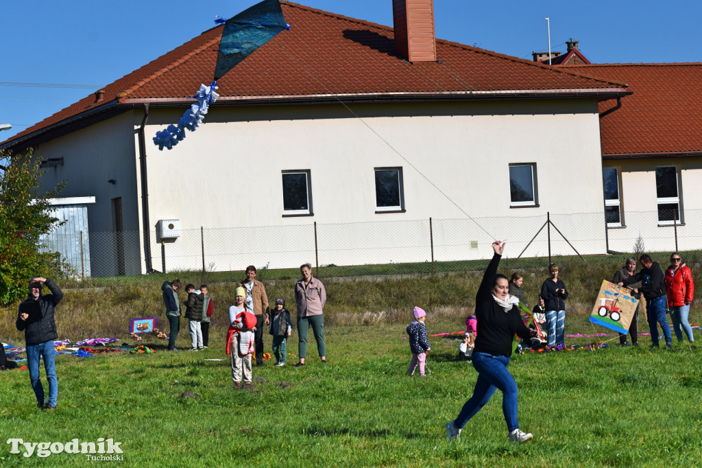 Dzień Latawca w Legbądzie