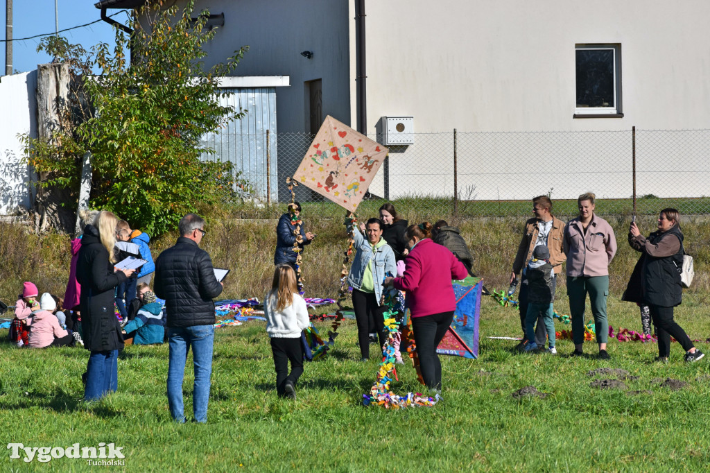 Dzień Latawca w Legbądzie