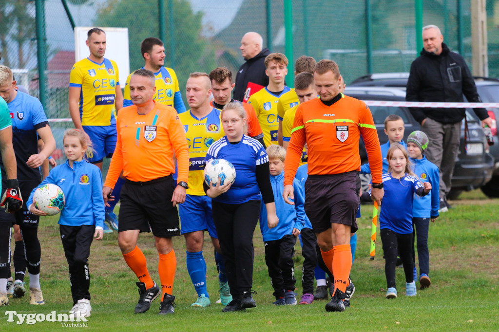 Piłkarski Puchar Polski: Rawys CEO Raciąż - Zawisza Bydgoszcz 0:8 (0:3)