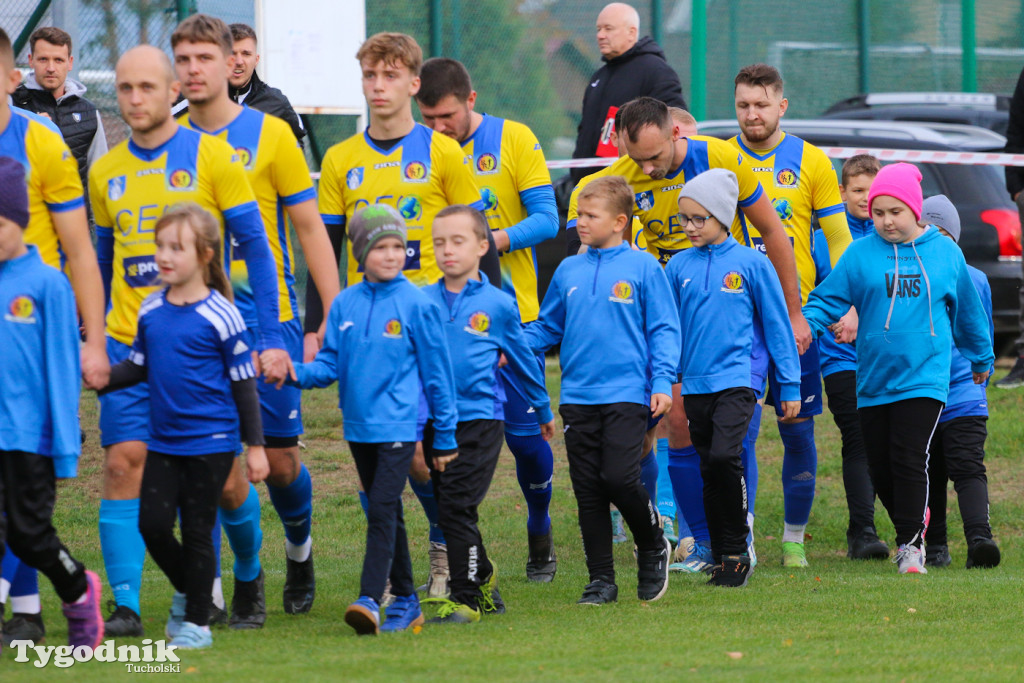 Piłkarski Puchar Polski: Rawys CEO Raciąż - Zawisza Bydgoszcz 0:8 (0:3)