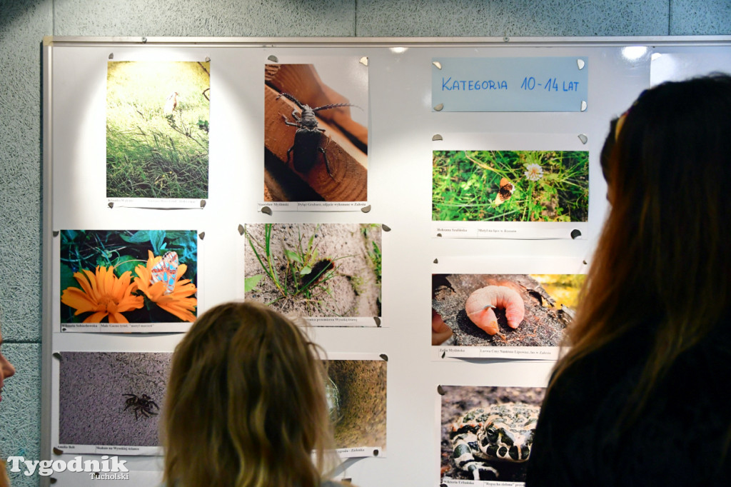 Zwierzę w Borach Tucholskich. Konkurs fotograficzny