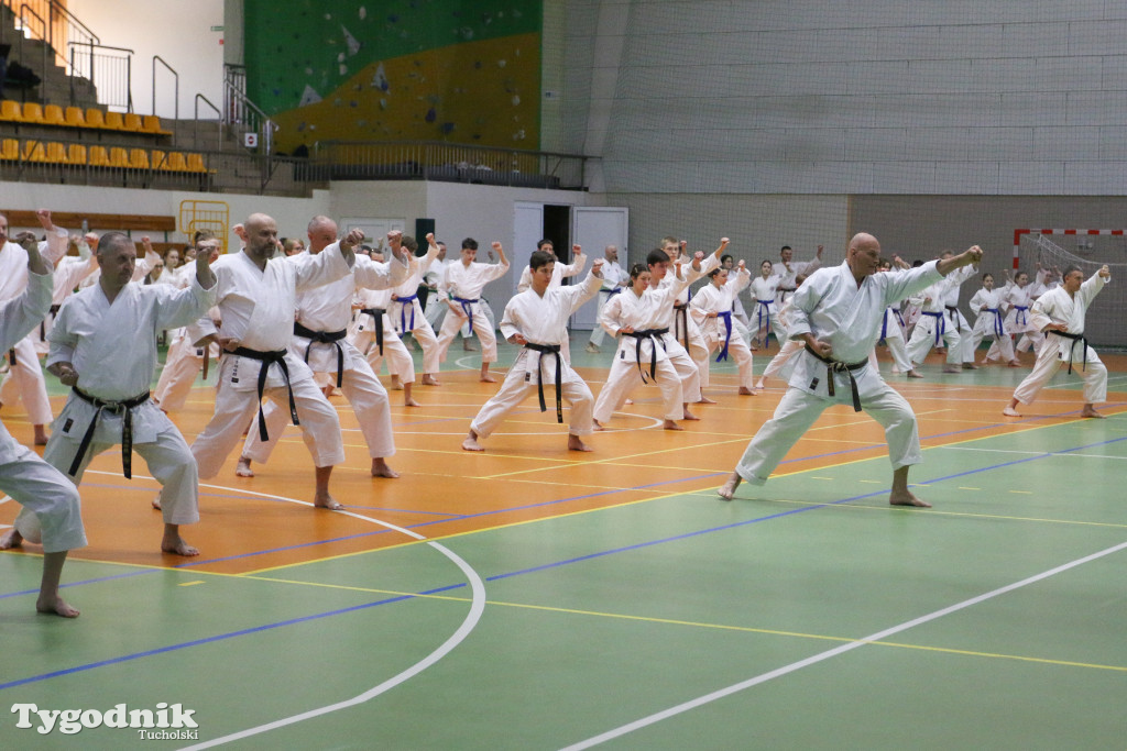 Karate: seminarium szkoleniowe z sensei Cerutim