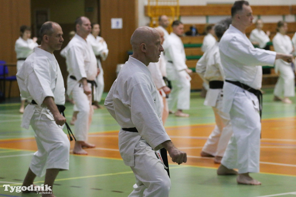 Karate: seminarium szkoleniowe z sensei Cerutim