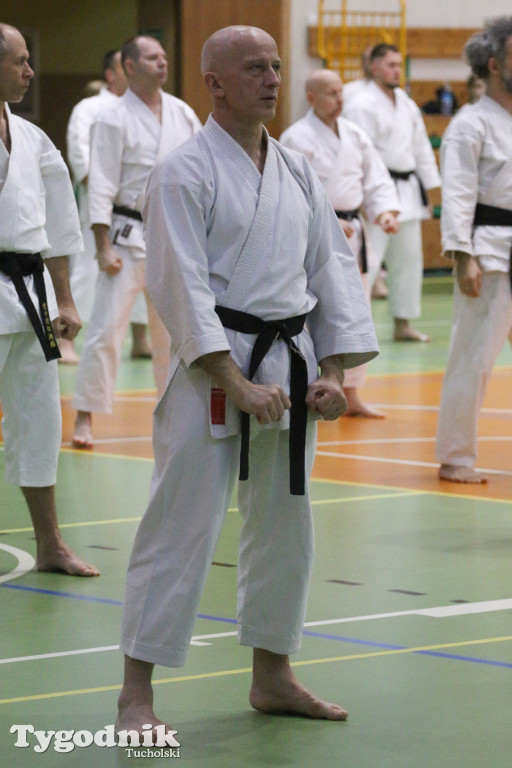 Karate: seminarium szkoleniowe z sensei Cerutim