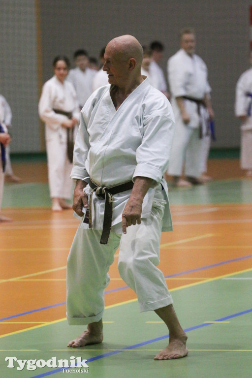 Karate: seminarium szkoleniowe z sensei Cerutim