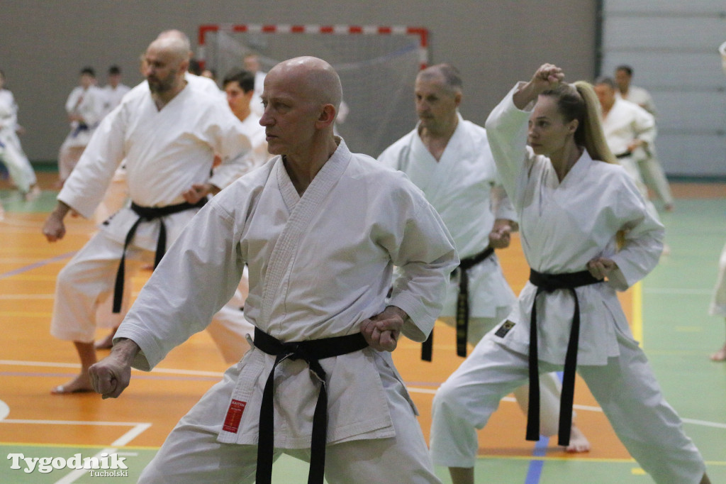 Karate: seminarium szkoleniowe z sensei Cerutim