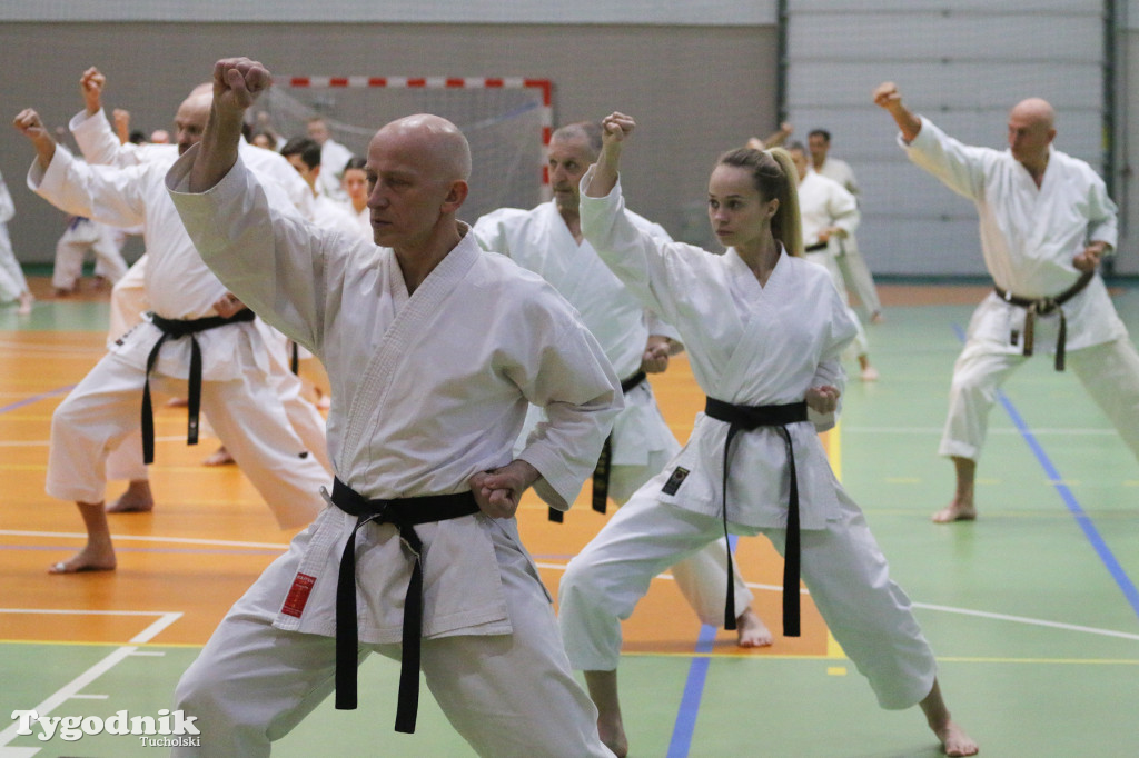 Karate: seminarium szkoleniowe z sensei Cerutim