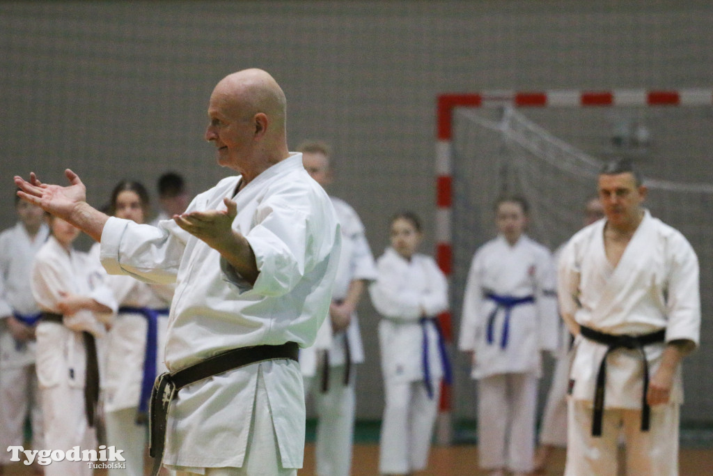 Karate: seminarium szkoleniowe z sensei Cerutim