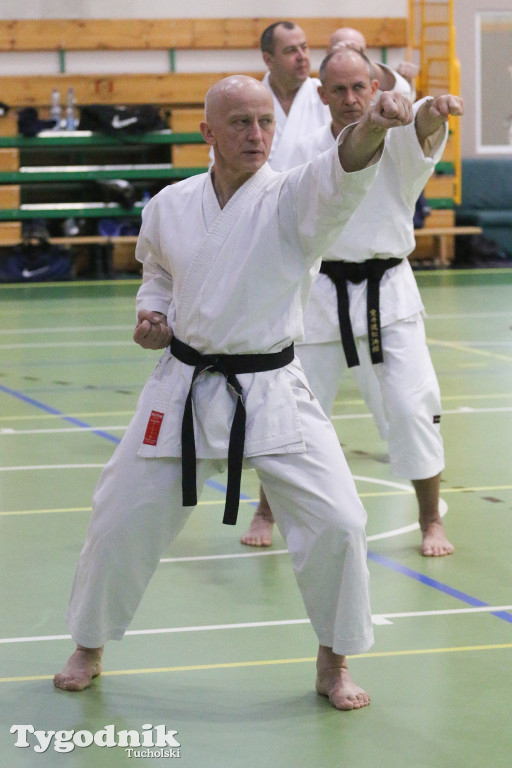 Karate: seminarium szkoleniowe z sensei Cerutim