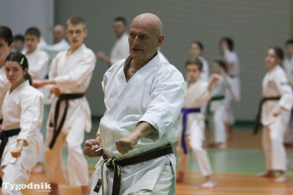 Karate: seminarium szkoleniowe z sensei Cerutim