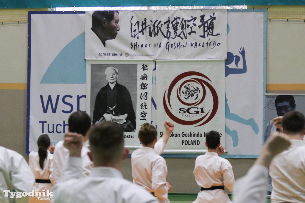 Karate: seminarium szkoleniowe z sensei Cerutim