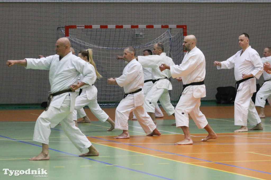 Karate: seminarium szkoleniowe z sensei Cerutim