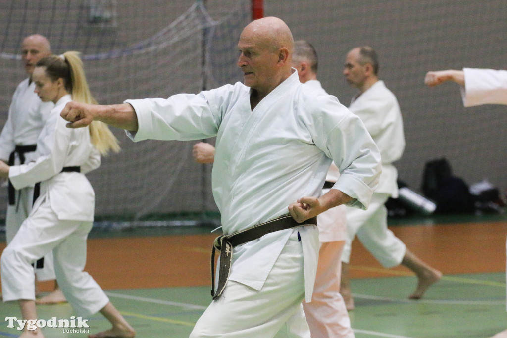 Karate: seminarium szkoleniowe z sensei Cerutim