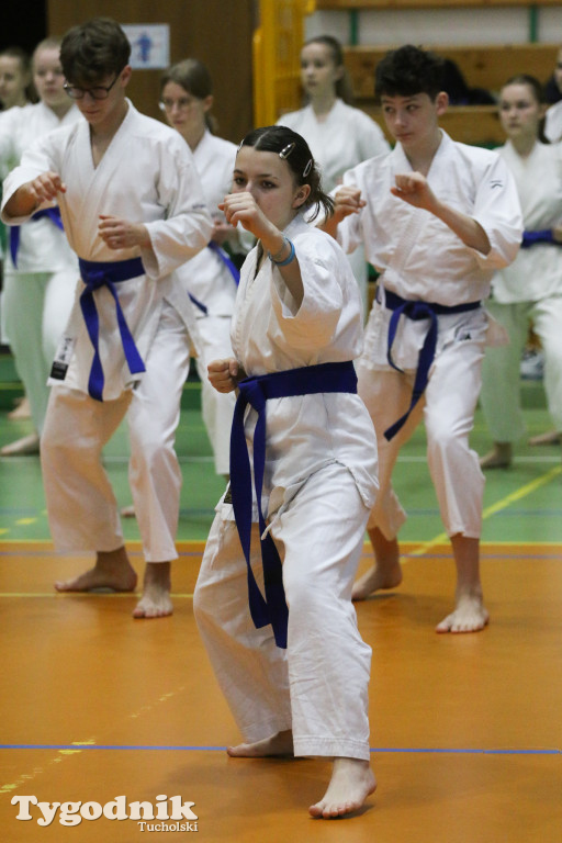 Karate: seminarium szkoleniowe z sensei Cerutim