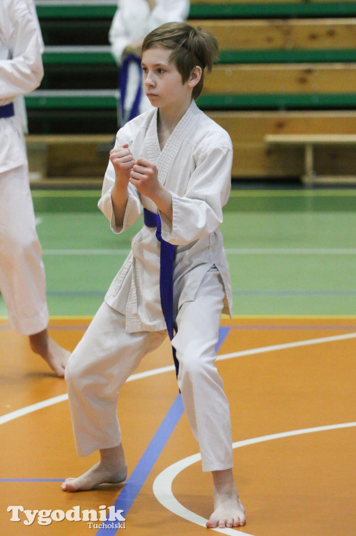 Karate: seminarium szkoleniowe z sensei Cerutim