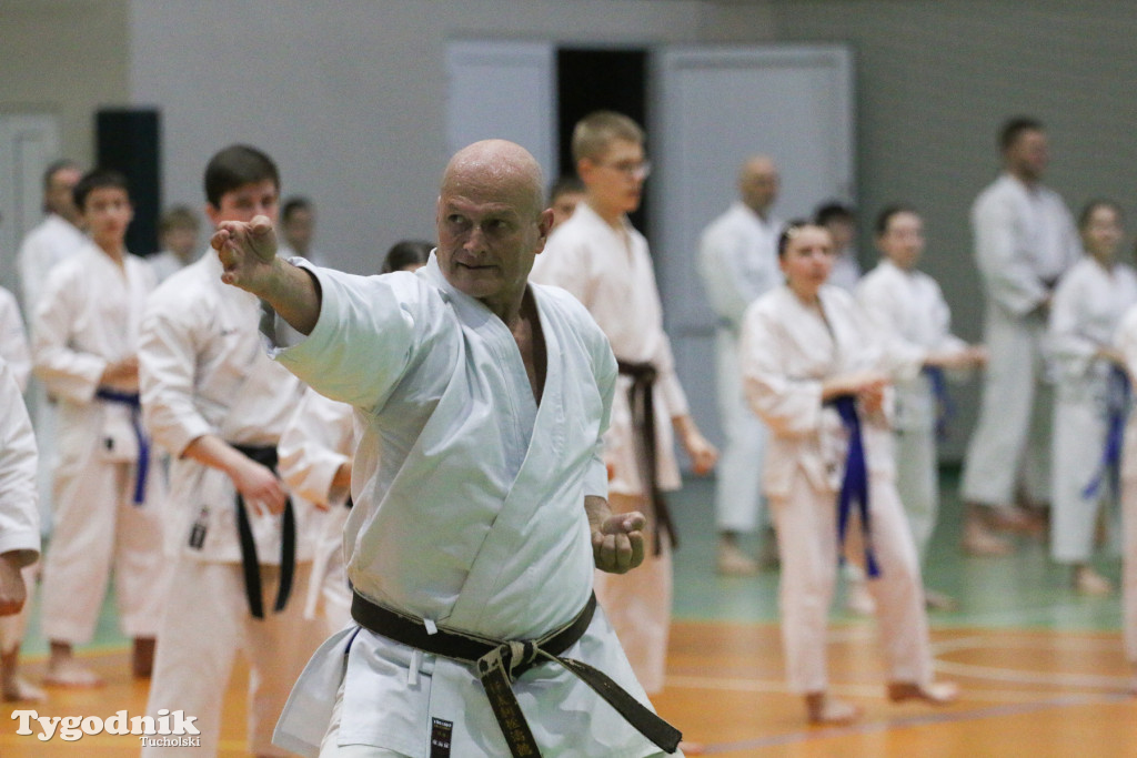 Karate: seminarium szkoleniowe z sensei Cerutim