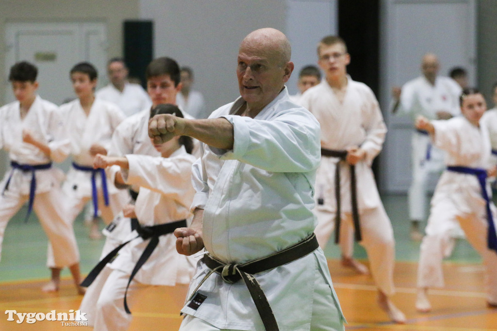 Karate: seminarium szkoleniowe z sensei Cerutim