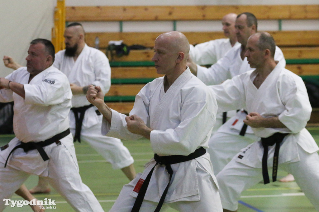 Karate: seminarium szkoleniowe z sensei Cerutim