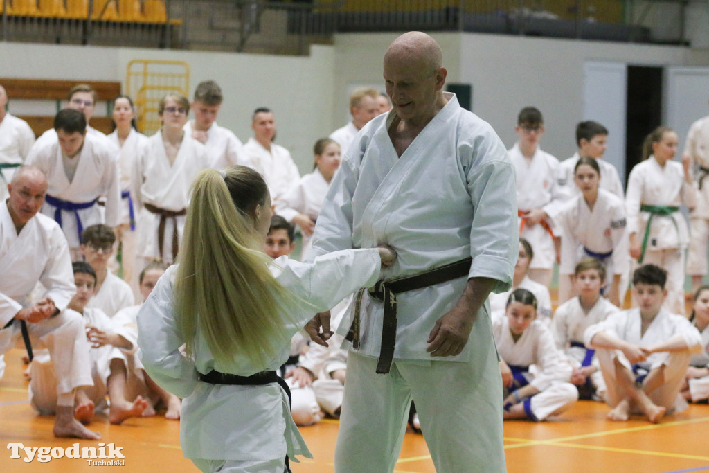 Karate: seminarium szkoleniowe z sensei Cerutim