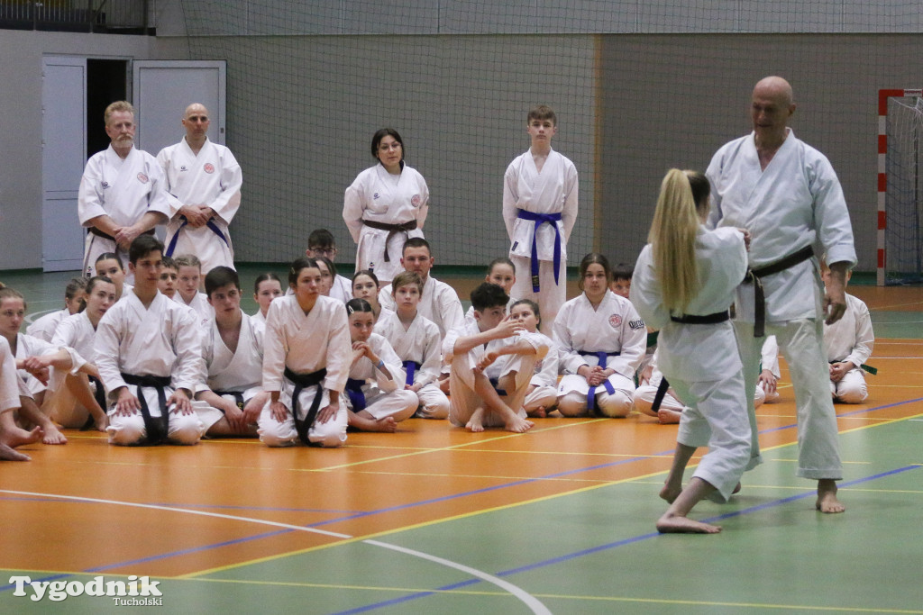 Karate: seminarium szkoleniowe z sensei Cerutim