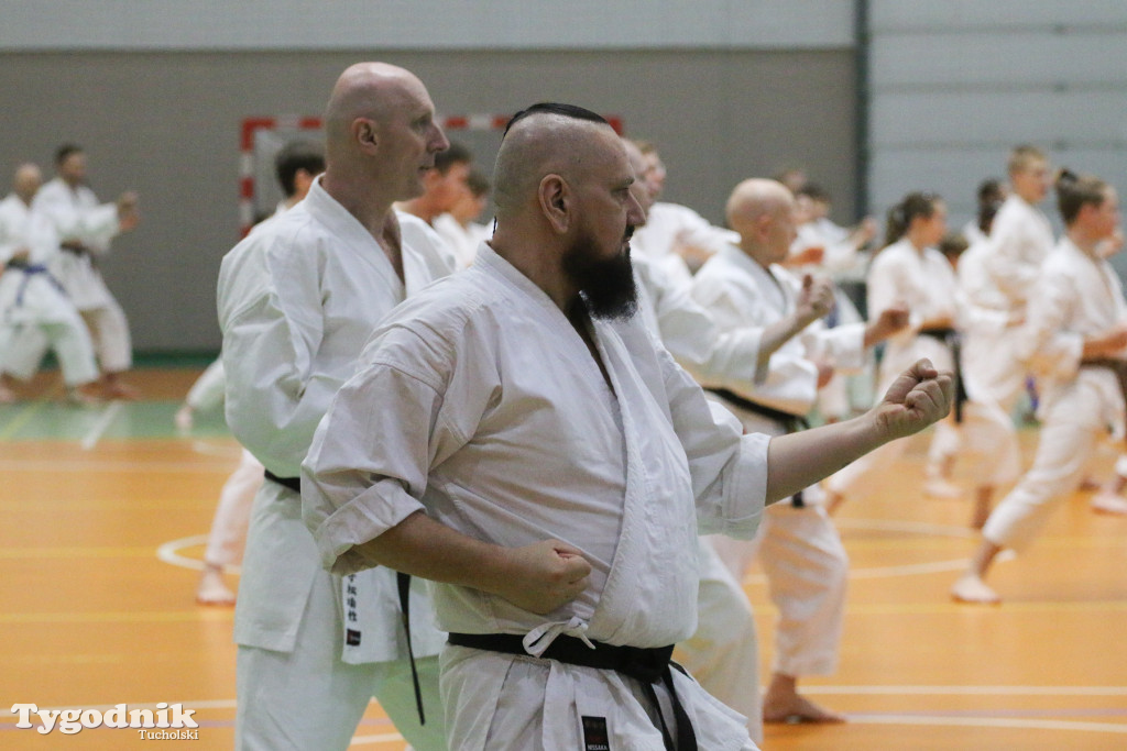 Karate: seminarium szkoleniowe z sensei Cerutim